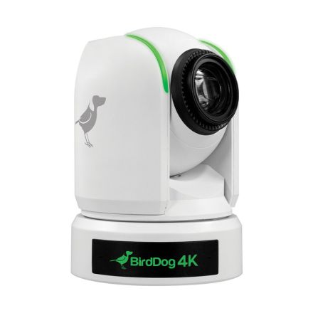 BirdDog 3x P4K White und 1x FREE PTZ Keyboard