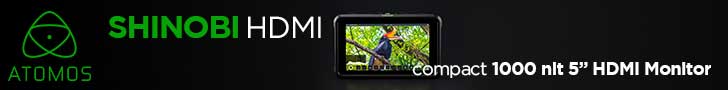 Atomos Shinobi HDMI kaufen im TONEART-Shop