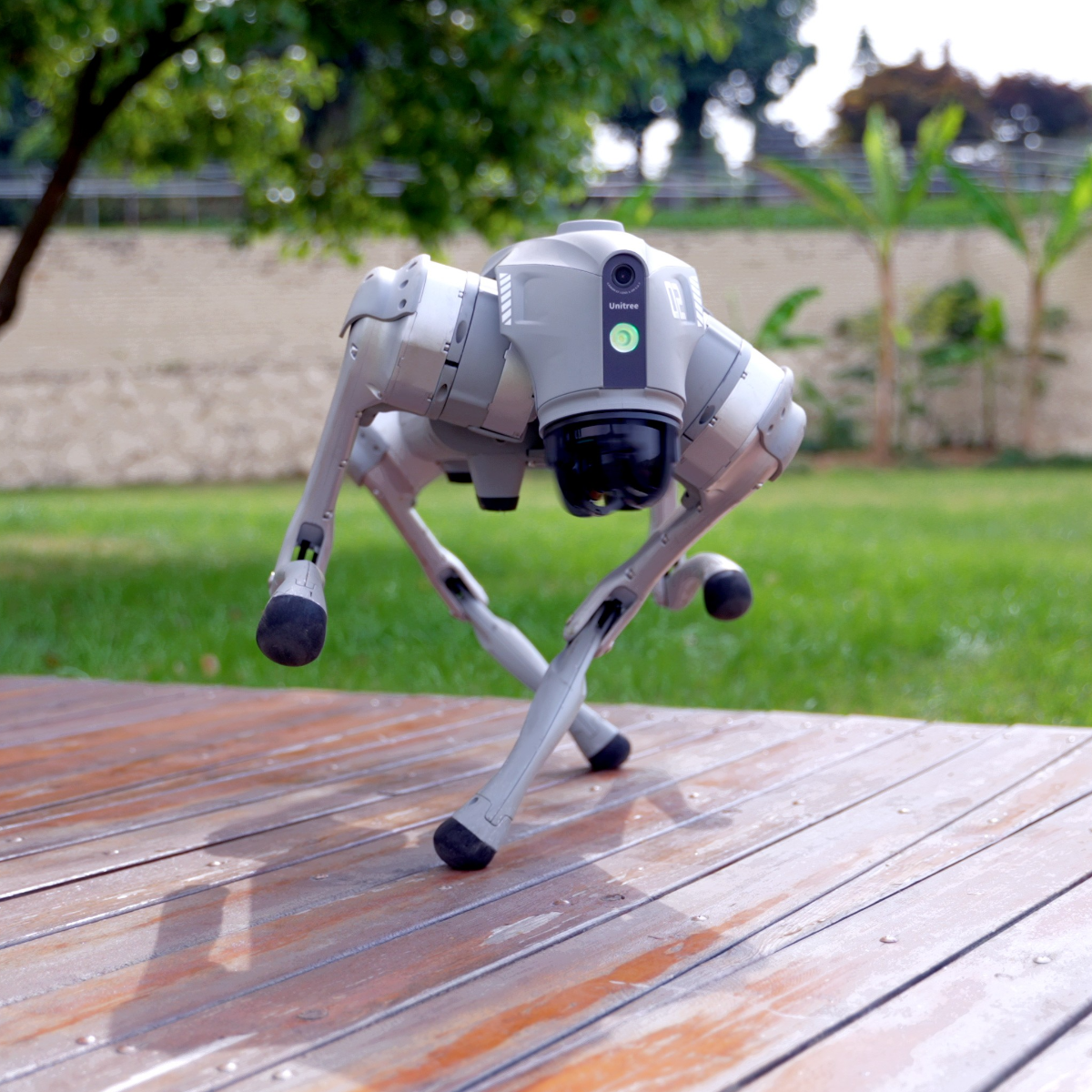 Omnidirectional Ultra-wide-angle Bionic 4D Laser Radar Unitree_Go2_Dance_2-toneart-shop