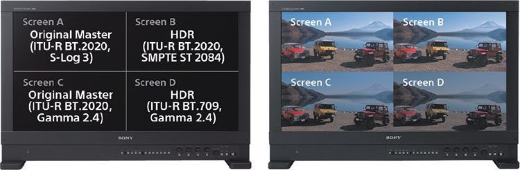 Sony BVM-HX310 im Quad-View-Modus